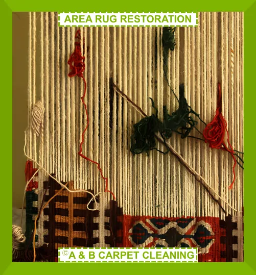 Professional rug cleaning process